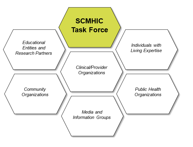 SCMHIC Task Force organizations.