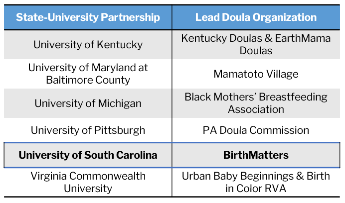 State-University Partnerships and Lead Doula Organizations